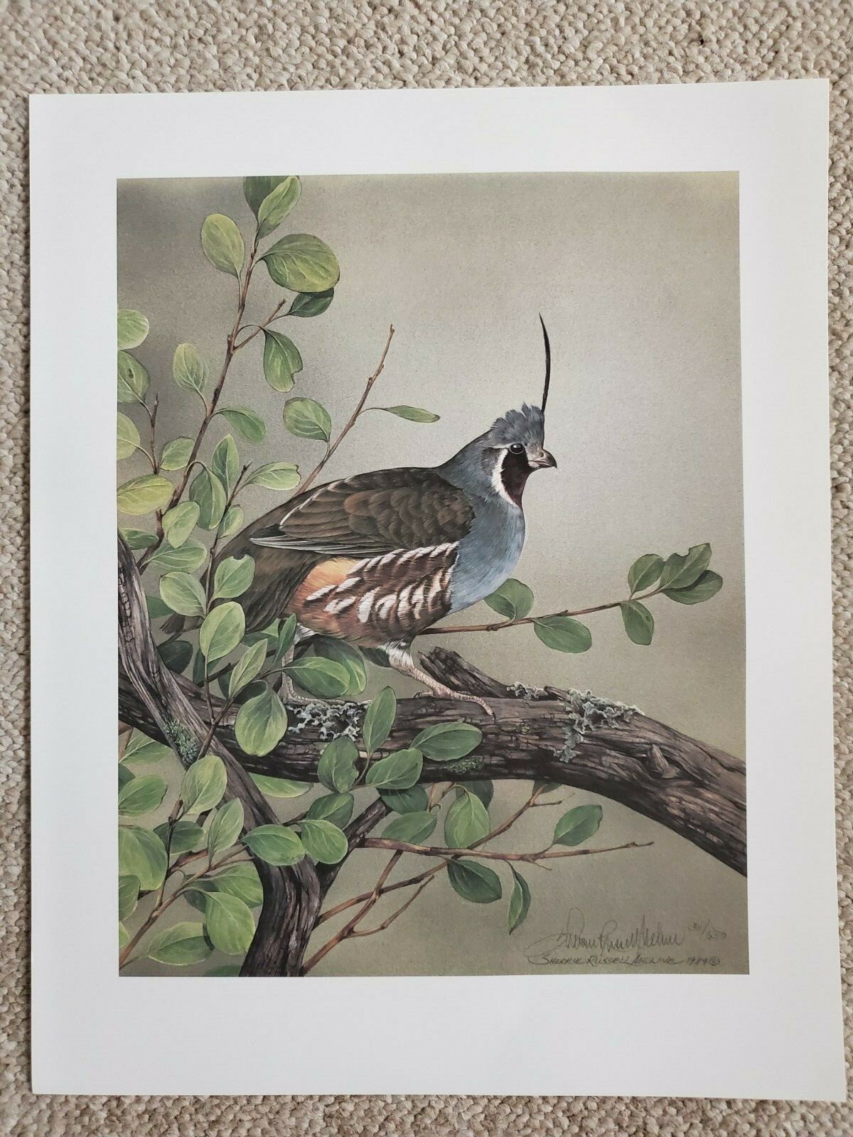 Sherrie Russell Meline Mountain Quail Ducks Unlimited Lithograph Signed