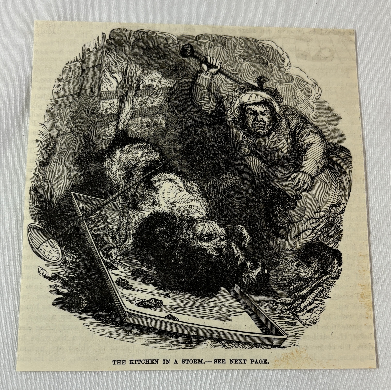 1883 magazine engraving ~ ANIMALS FIGHTING IN THE KITCHEN