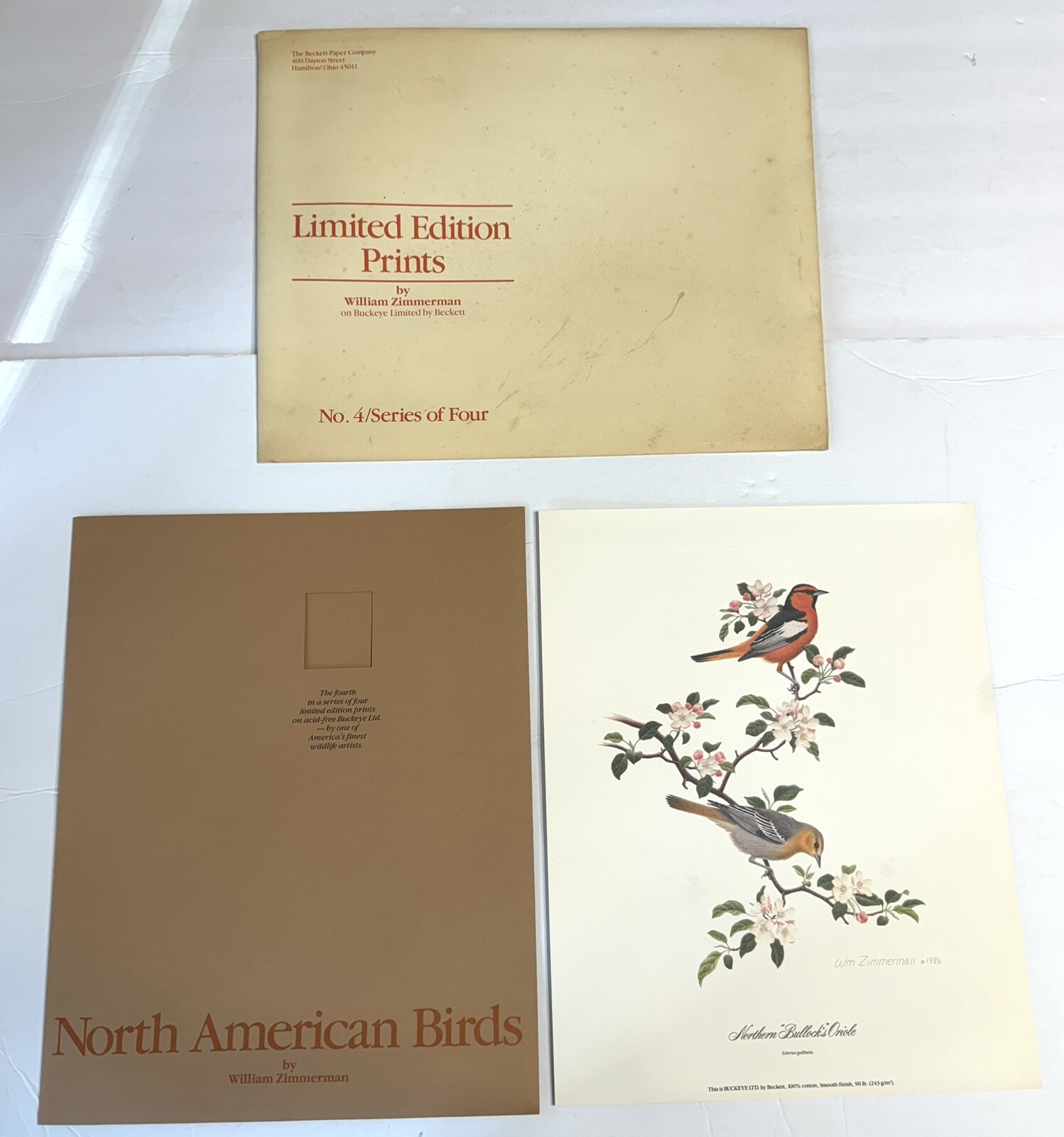Vintage 1986 North American Birds Print By William Zimmerman Ltd Edition 3