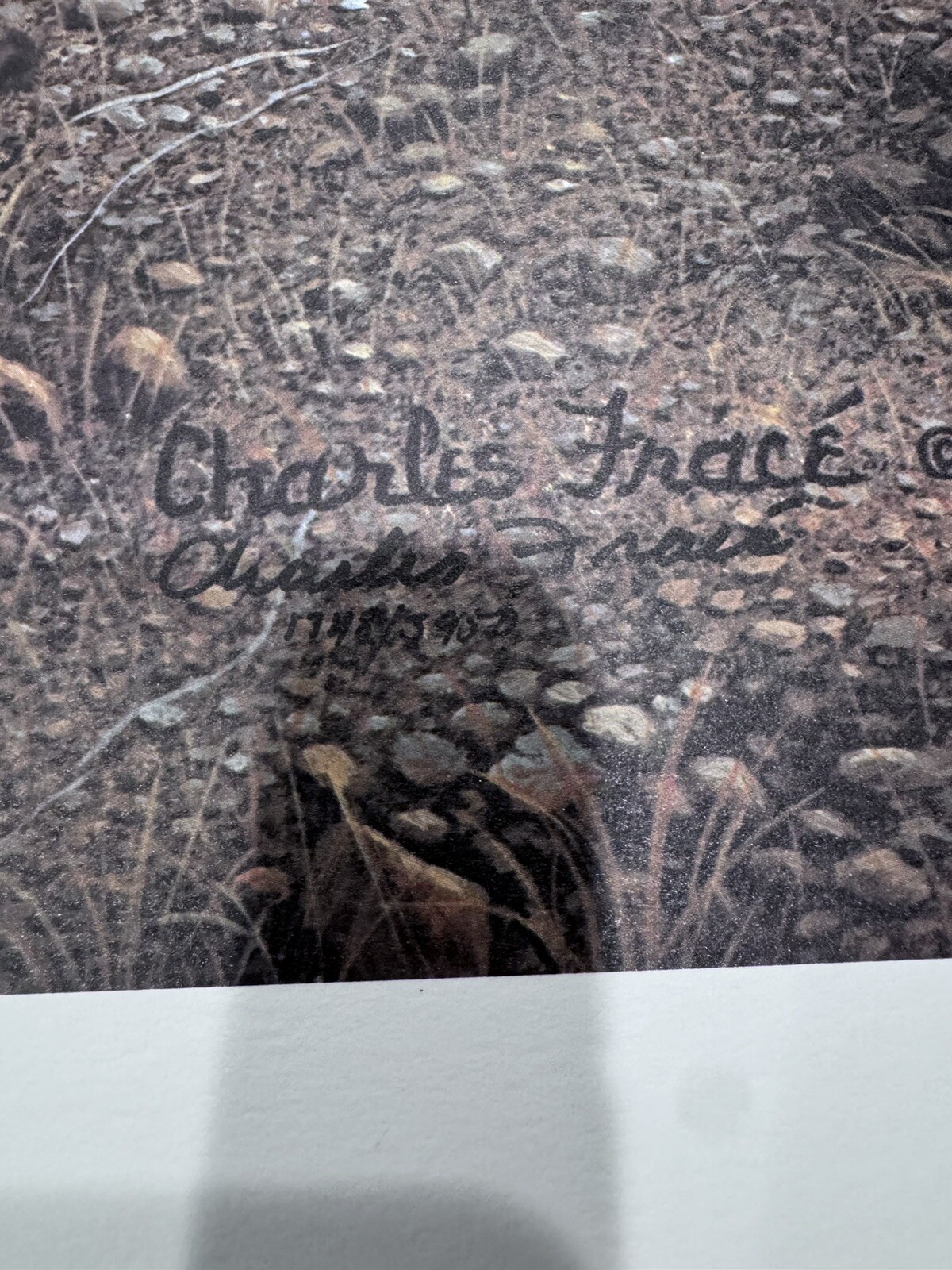 Charles Frace Royal Bengal 1748/3050 22×32 Signed Limited Edition Tiger Print BH