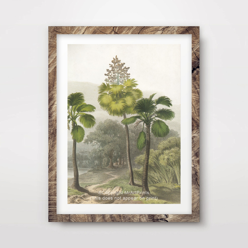TROPICAL LANDSCAPE ILLUSTRATION ART PRINT Poster 20×30 30×40 40×50 cm size