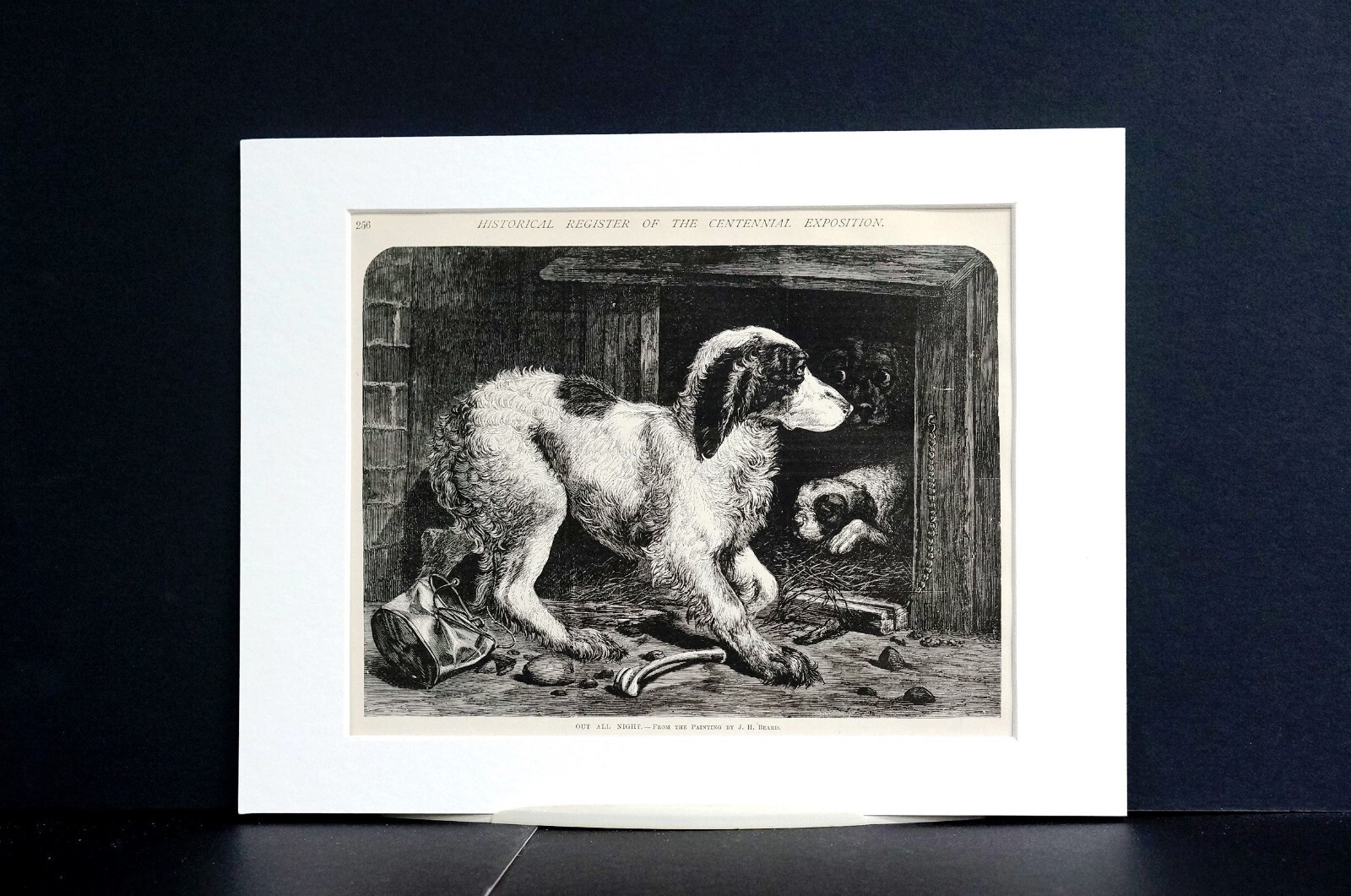 Beard Dog Crated OUT ALL NIGHT 1876 CENTENNIAL EXPOSITION Matted Art Print