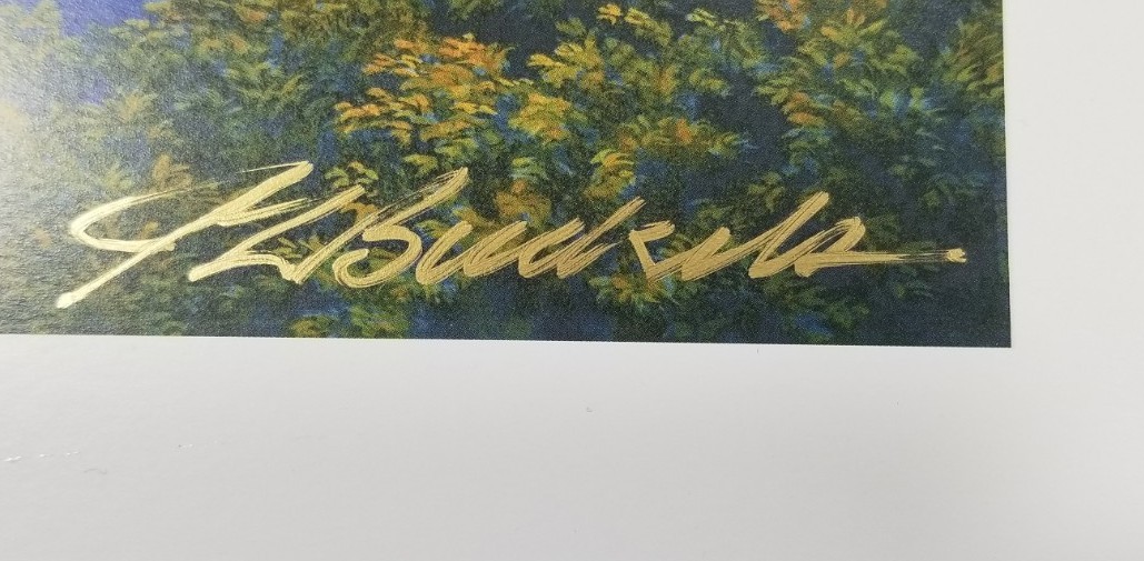 ​Jim Buckels aquarius signed & numbered limited edition Lithograph Zodiac