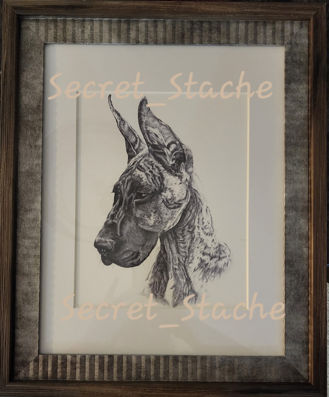 Framed Print – Hand Drawn Brindle Great Dane Portrait, 11×14 matted to 8×10