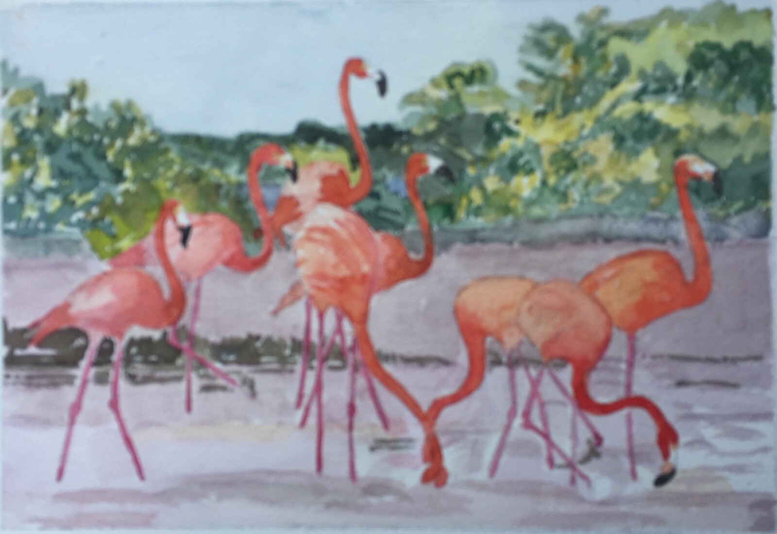 FLORIDA, FLAMINGOS / WATERCOLOR PRINT / 8 1/2″ H X 11″ W / MIMI DAVIS, ARTIST