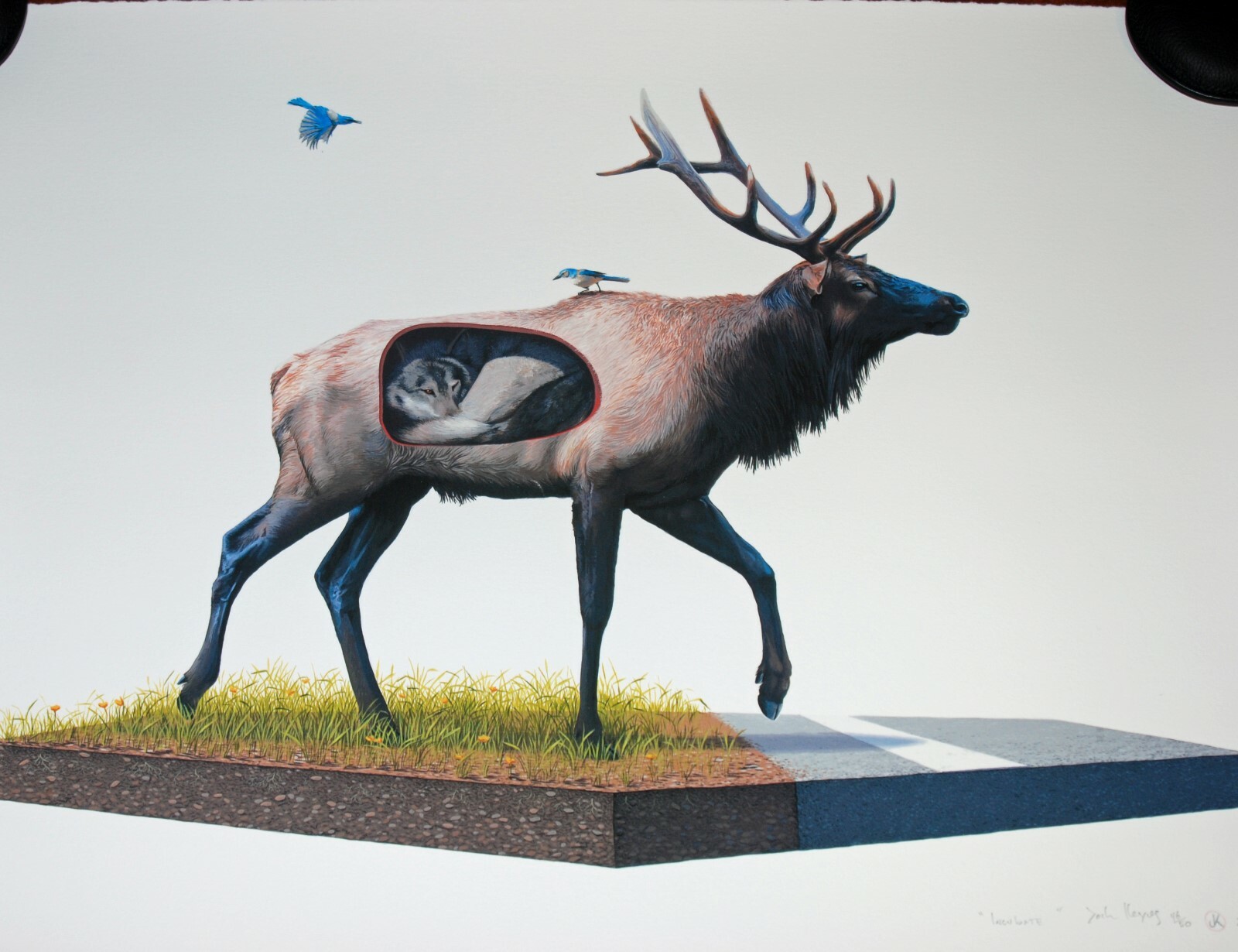 Josh Keyes Incubate 2010 Art Print S/# 50 Wildlife Wolf Post Apocalypse Poster