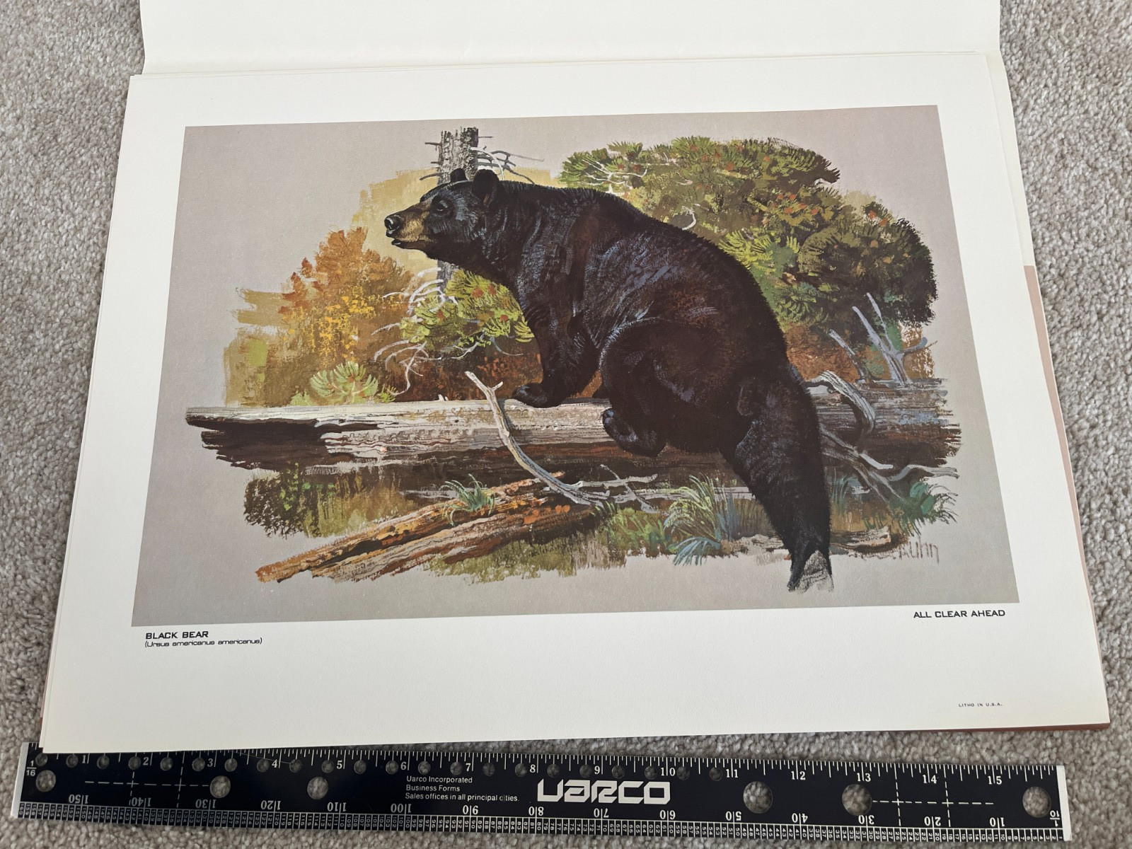Remington’s Portfolio of Big Game of North America – 12 prints, 12″ x 16″