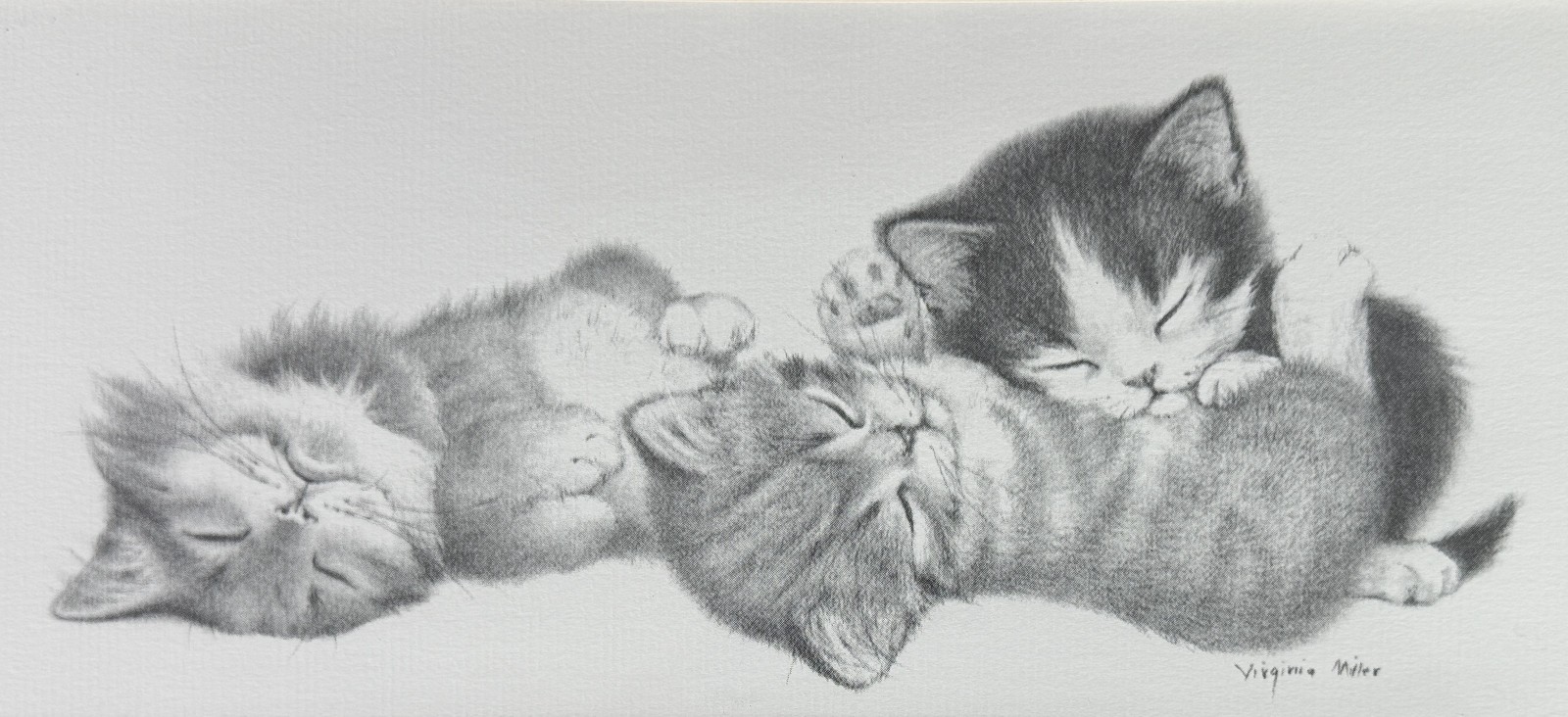 SNUGGLING KITTENS FRAMED ART PRINT VIRGINIA MILLER Black & White Cat Wall Art