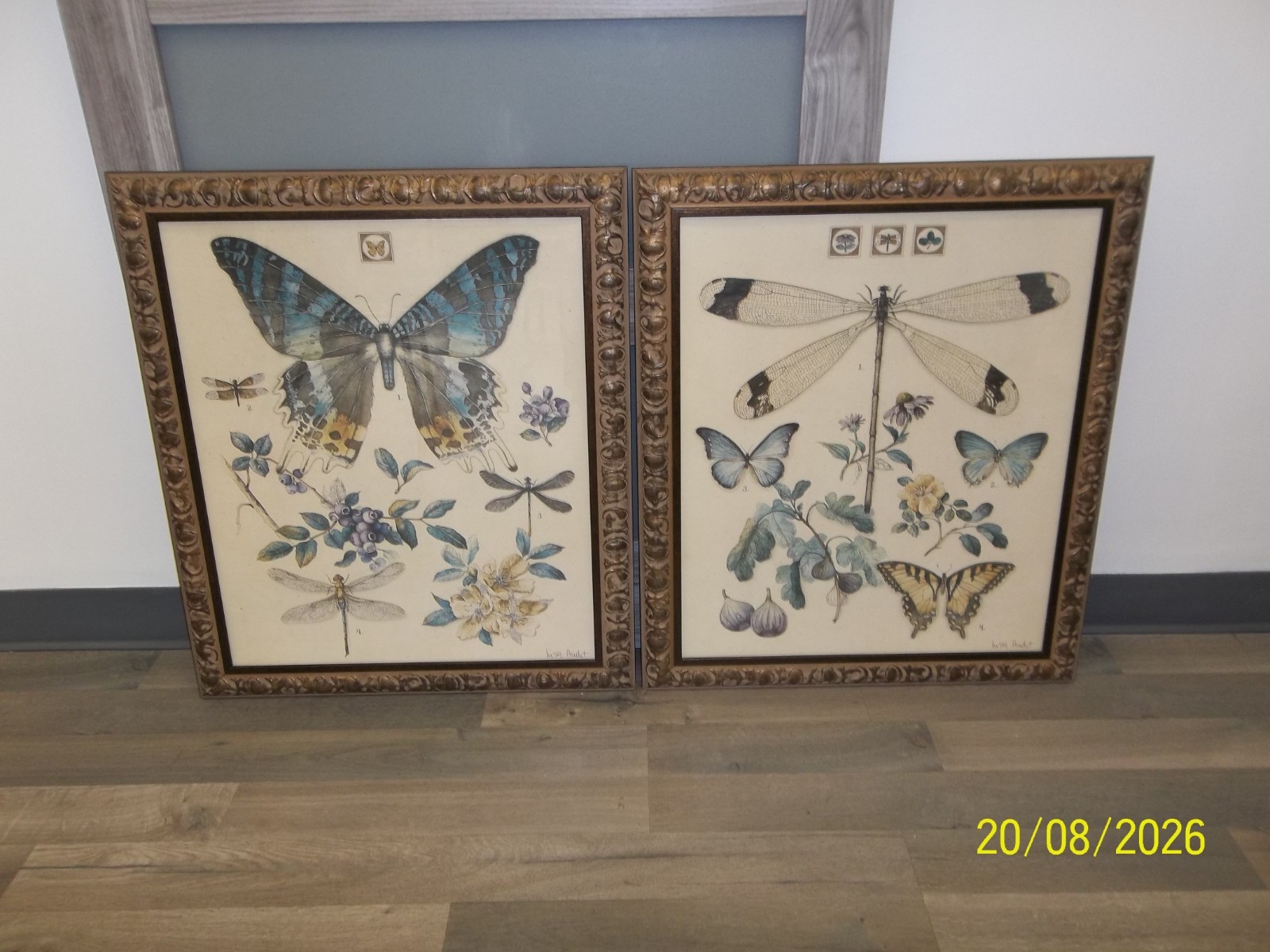 Pair of Lisa Audit Butterflies & Dragonflies Framed Prints 2006 Home Interiors