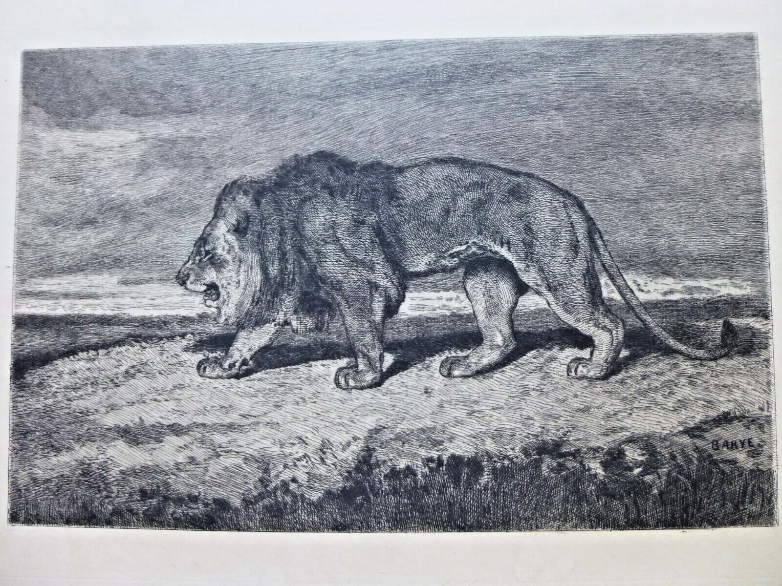 ANTOINE LOUIS BARYE ETCHING STRIDING LION FIRST STATE