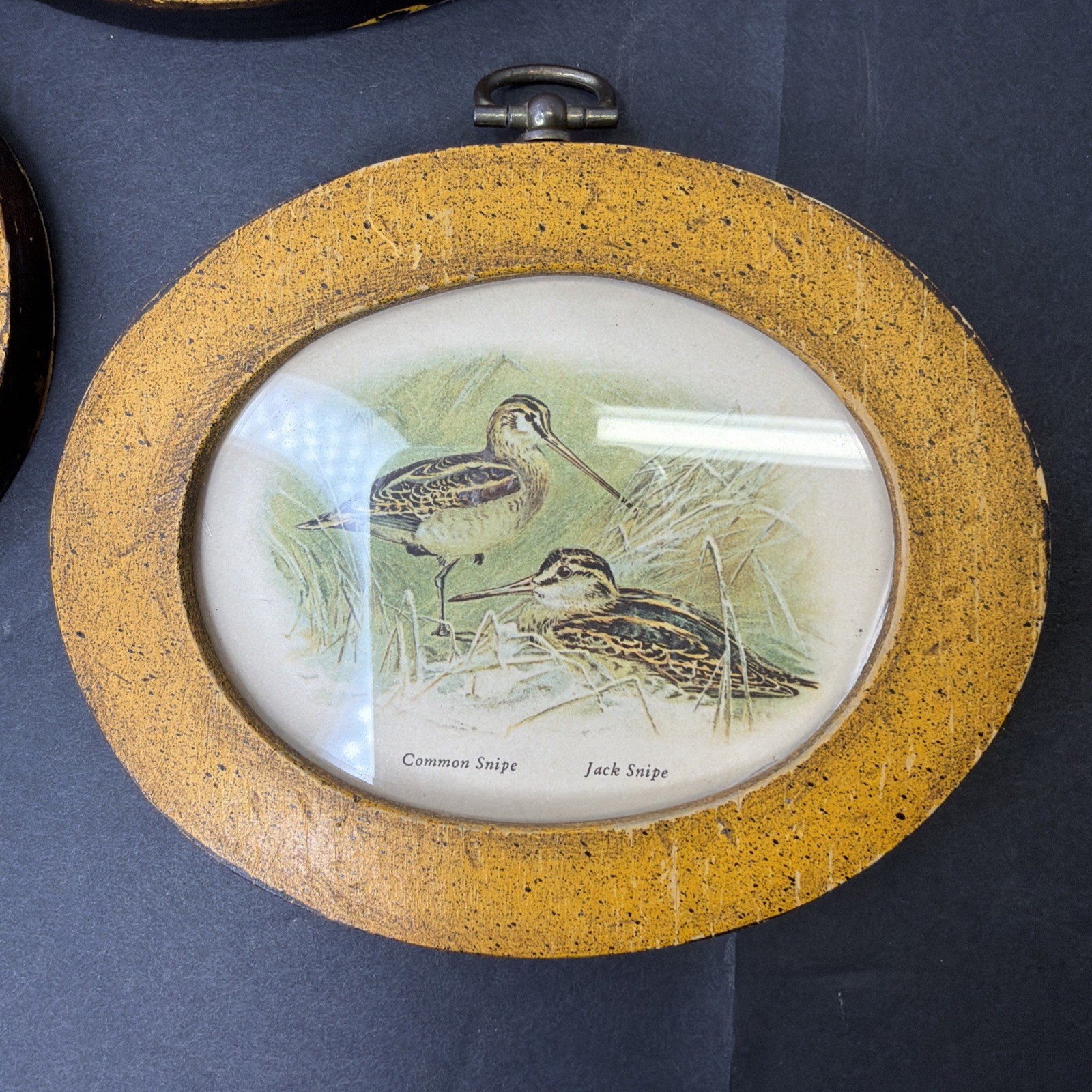 Vintage Mid Century Small Oval Framed Prints Of Game Birds 1981 4×5