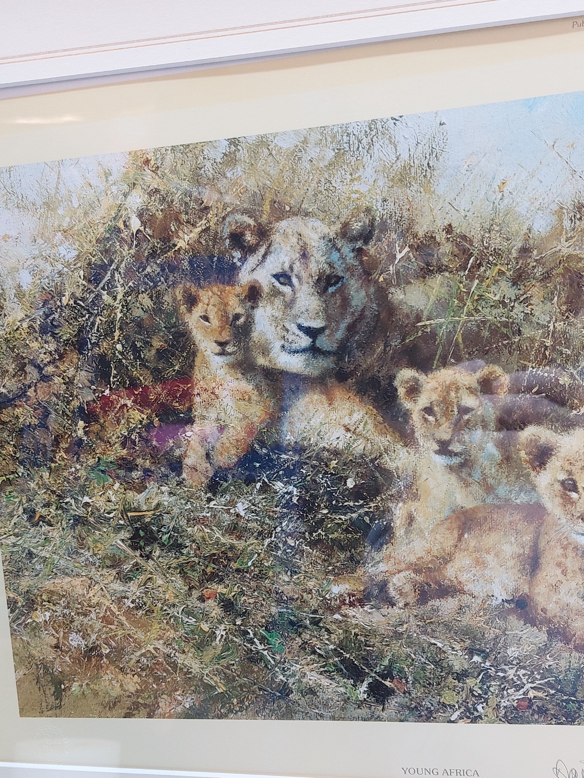 David Shepherd Ltd Edition Signed Print Lioness “Young Africa” Framed 20″ x 24″
