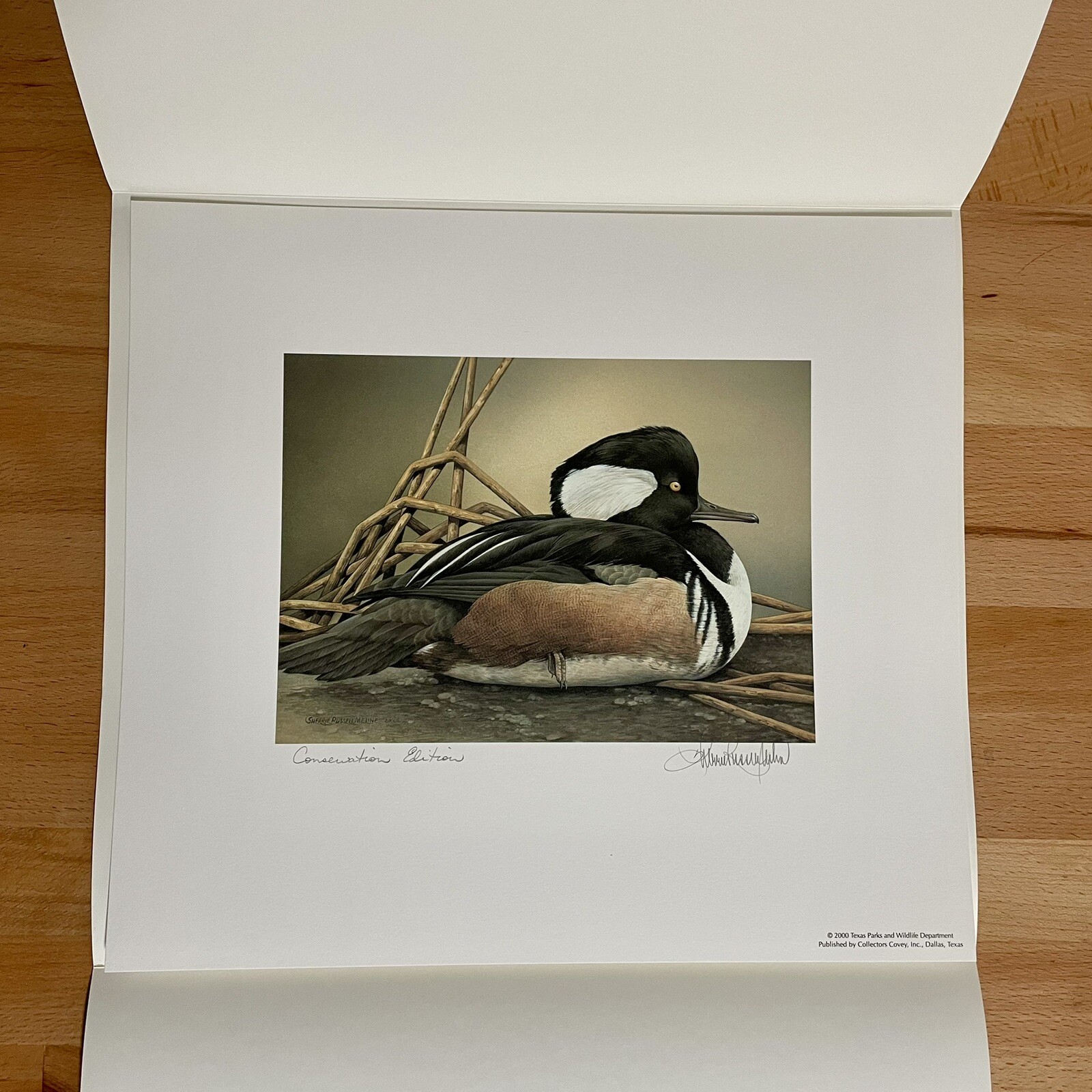 2000 Texas Waterfowl Stamp Print Conservation Edition Signed Sherrie R. Meline