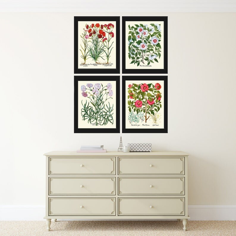 Botanical Prints Wall Art Carnations Rose Hollyhock Set of 4 Beautiful Unframed