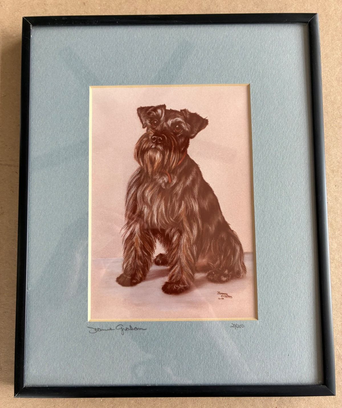 Joanne Graham Signed Limited Edition Miniature Schnauzer Print 20/200 Dated 1984