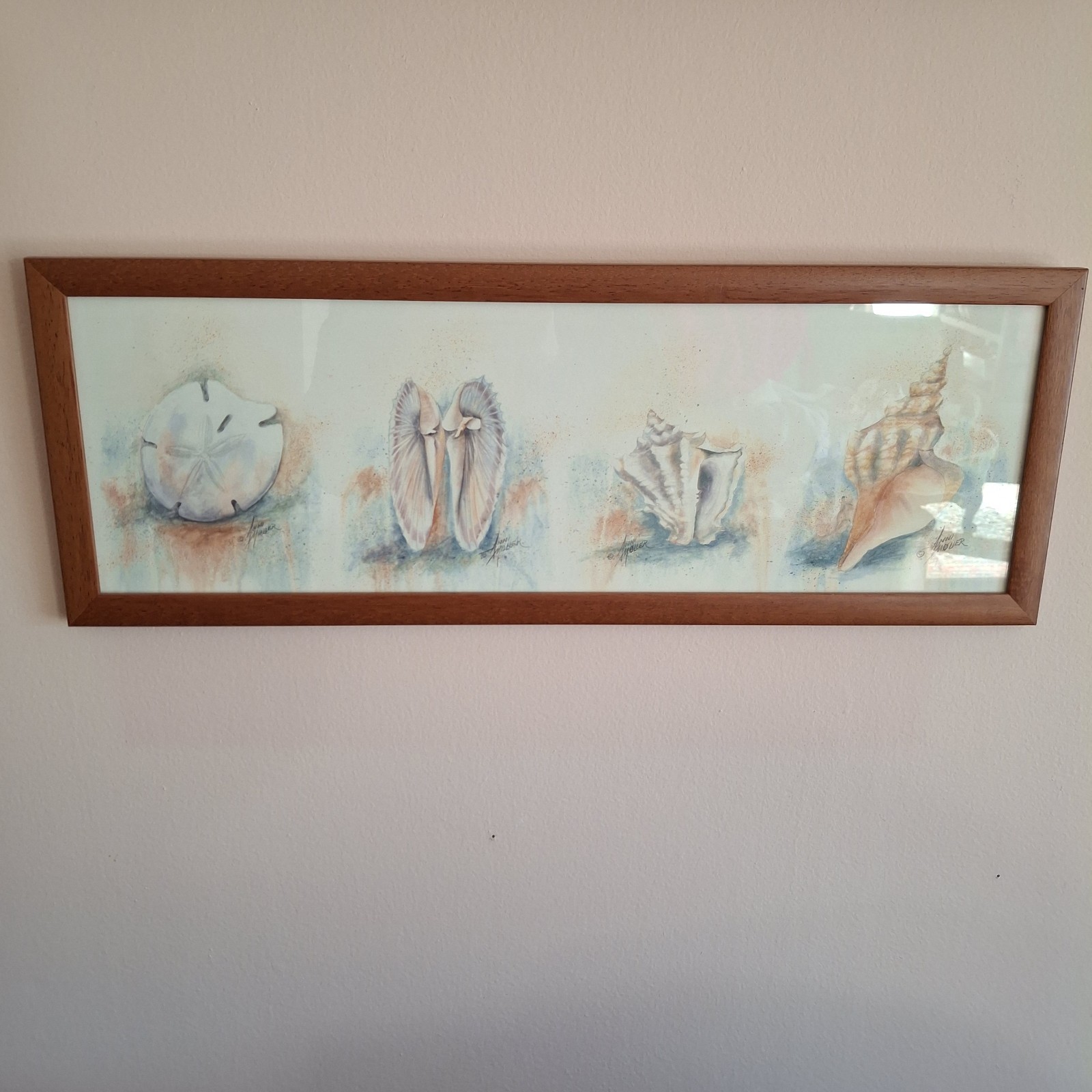 Vintage Shells Print Signed Anni Moller Framed 22” x 8” Beach Ocean Shore