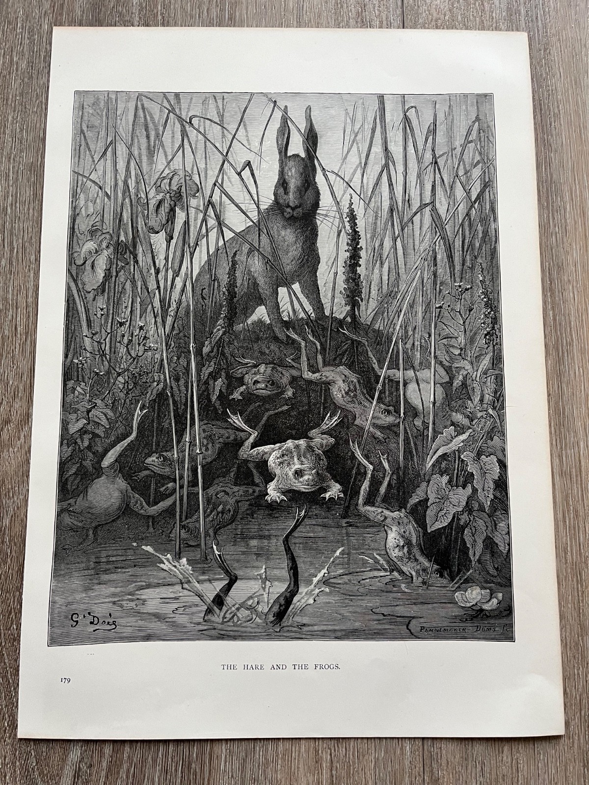 victorian 1897 original dore gallery print – the hare and the frogs
