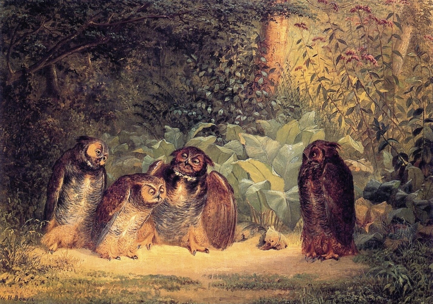 Beard Owls : William Holbrook : Archival Fine Art Print