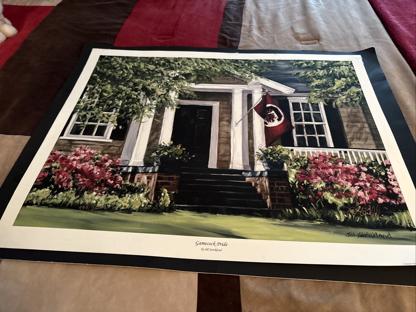 Beautiful GameCock Print Entitled Gamecock Pride By Jill Strickland