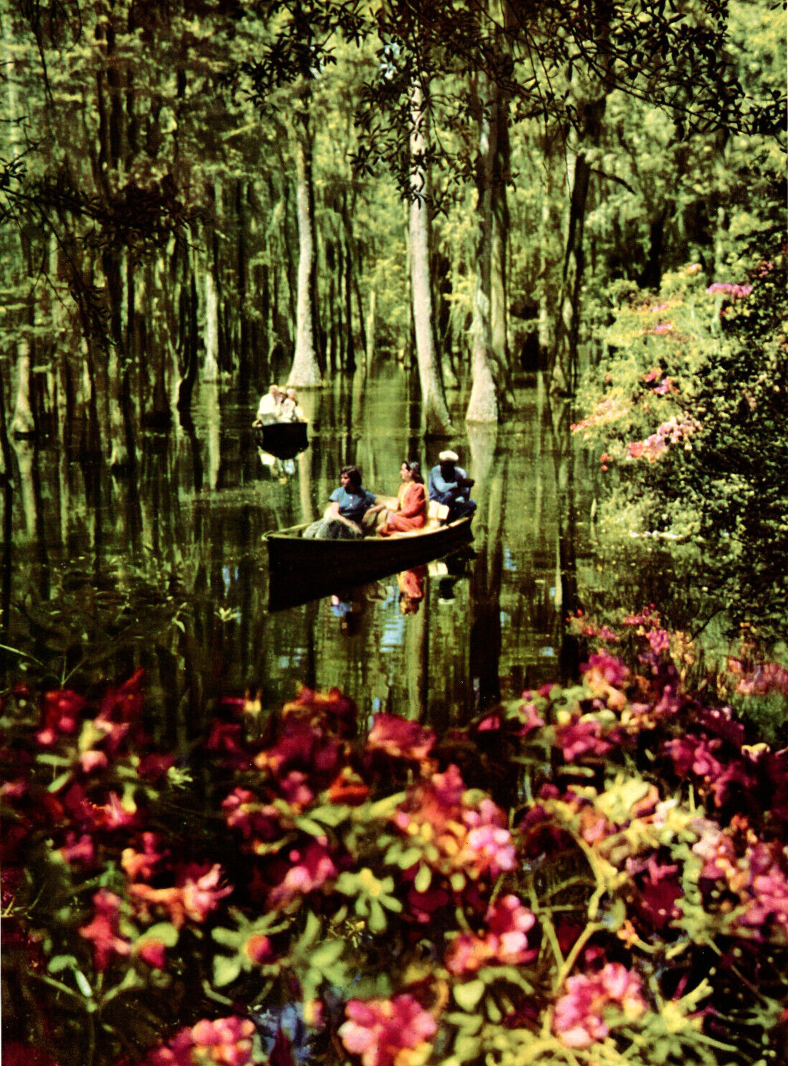 1957 Vintage Print Cypress Garden Boat Tour Floral South Carolina Photo Plate