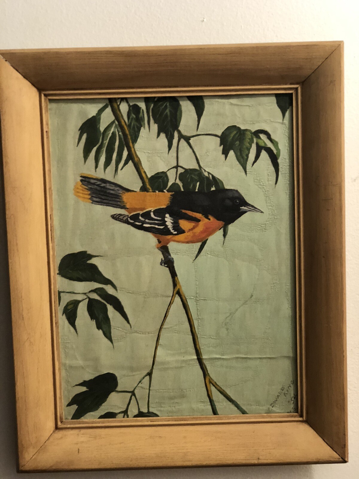 Vintage 1954 oil painting Baltimore Oriole, copy of Walter Weber. NOT PRINT