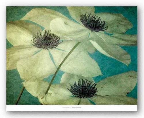 FLORAL ART PRINT Klema Dawn LeBlanc