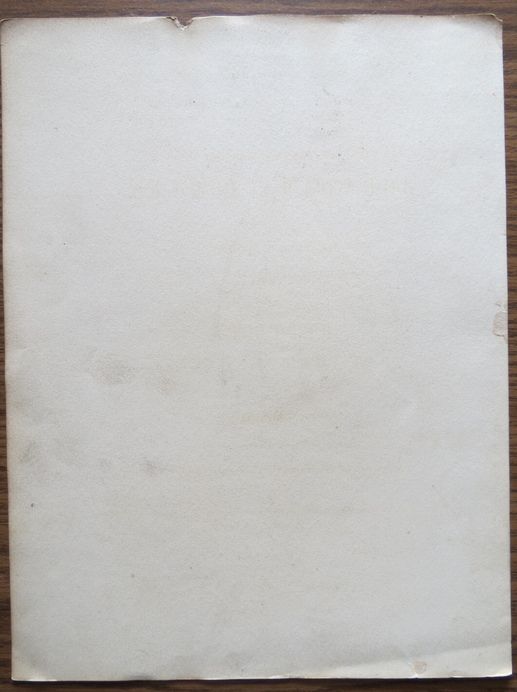 BLACK BELLIED DUCK 1859 US MEXICO BOUNDRY SURVEY PRINT Spence Fullerton Baird