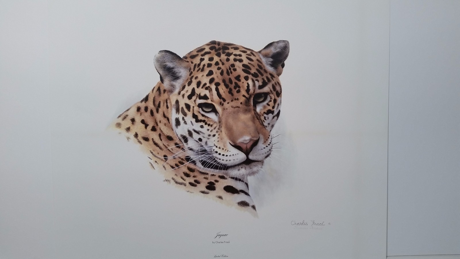 Charles Frace JAGUAR (Head) Signed print