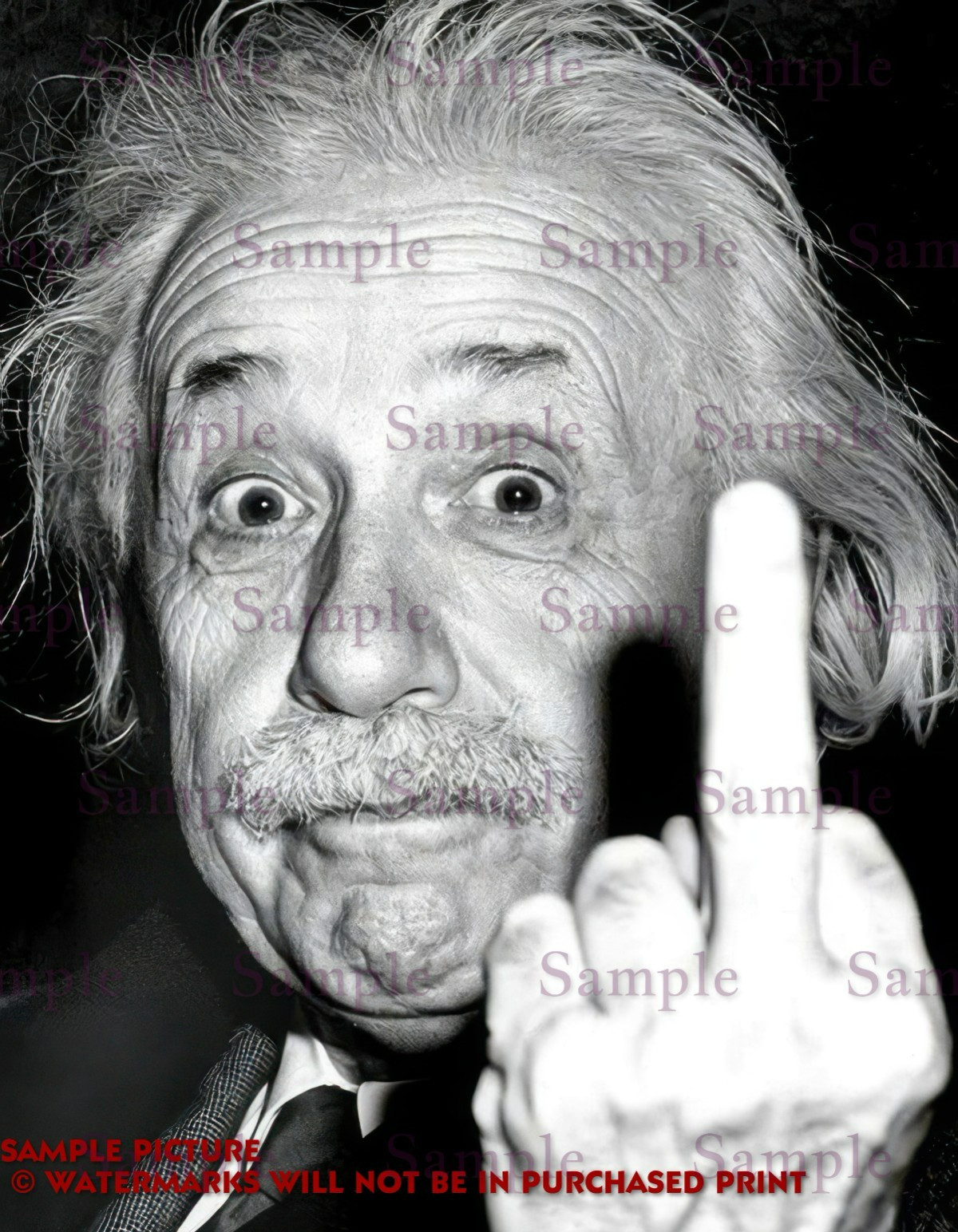 ALBERT EINSTEIN MIDDLE FINGER PHOTO PRINT 8″ x 10″ ALBERT EINSTEIN FUNNY PHOTO