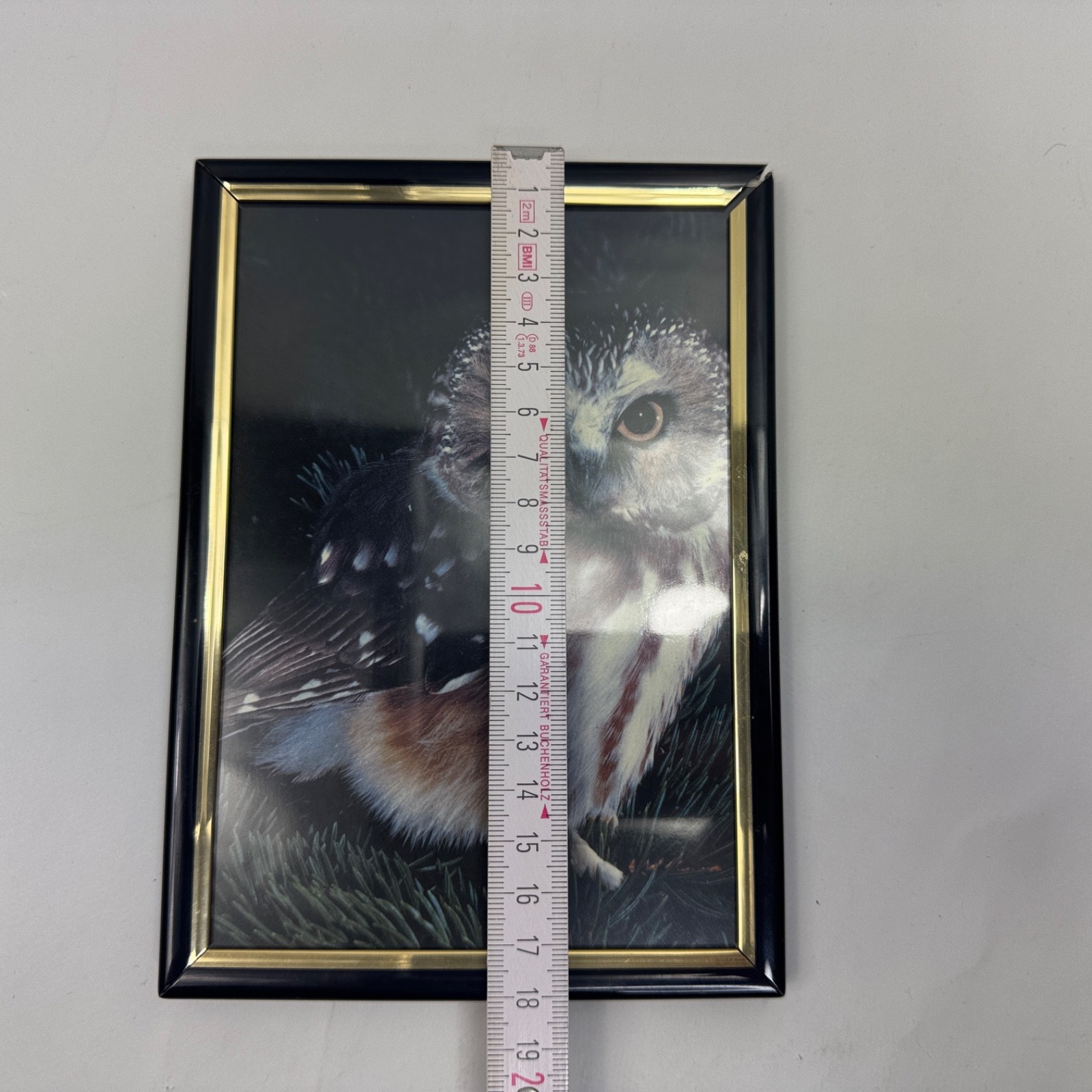 Unbranded Framed Owl Print Black & Gold Frame