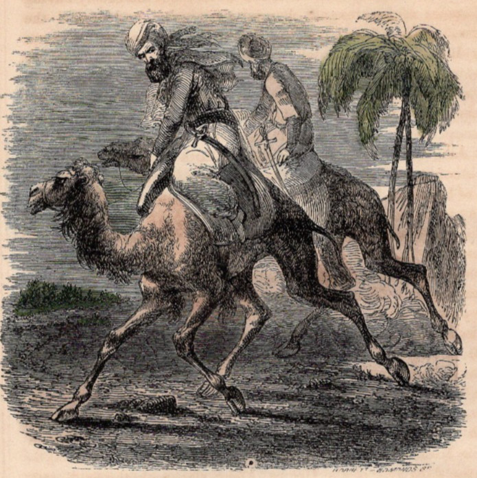 Hegira Flight from Mecca Camel Riders Hand Colored Engraving Old World 1853