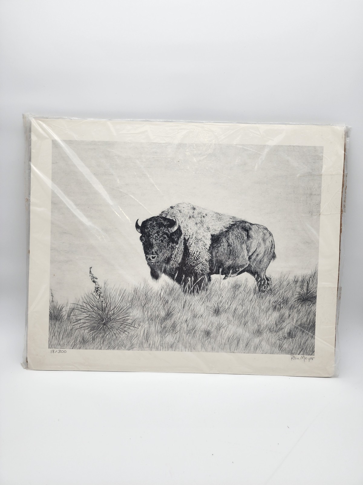 Ron Meyer Bison Print Signed Numbered 18/300 Wildlife Buffalo Art