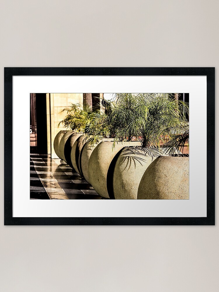 Plants Framed Art Print Framed Wall Art Poster Canvas Print Picture