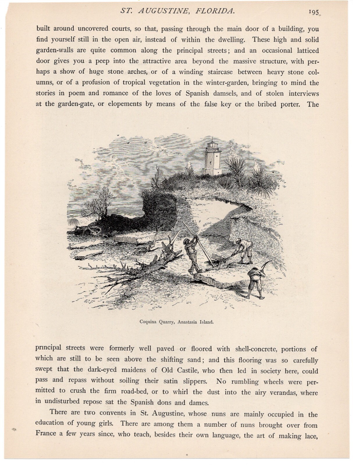 FLORIDA GARDEN – Tropical Plants Woman & Dog Scene 1872 Antique Engraving