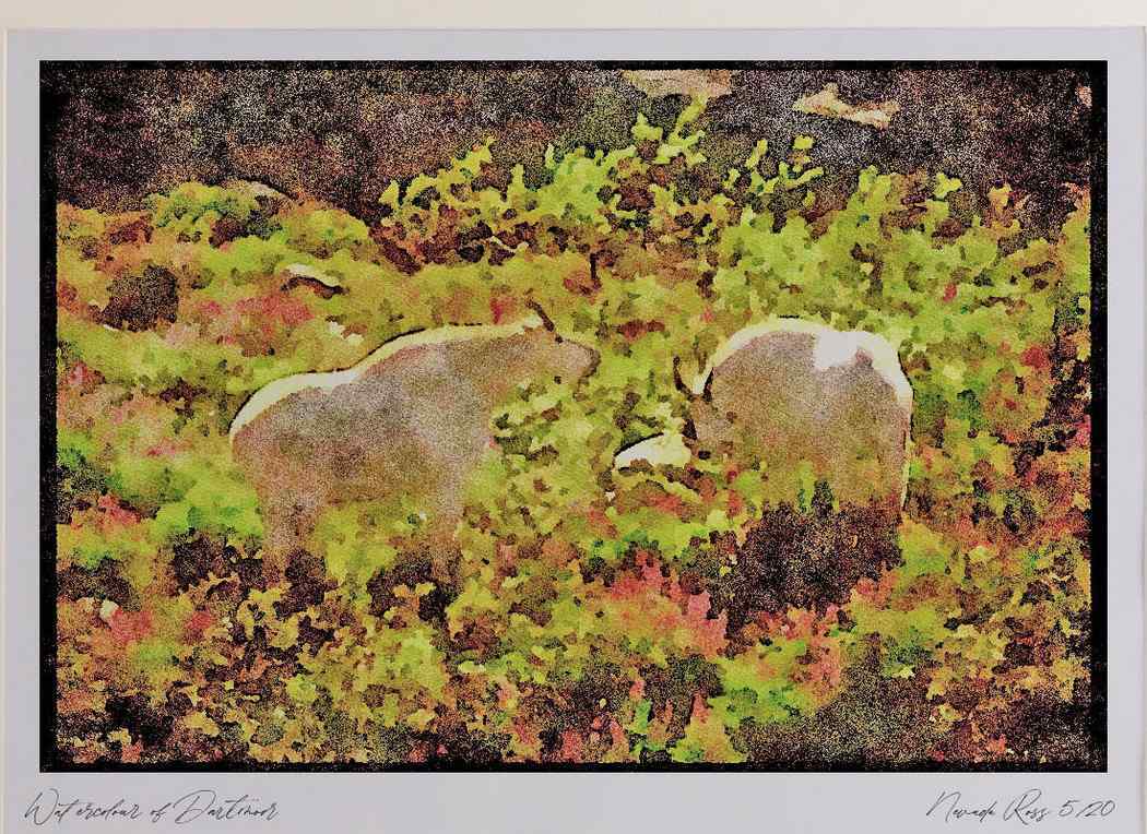 Landscapes 176061 Mountain Goats Washington A4 Watercolour print
