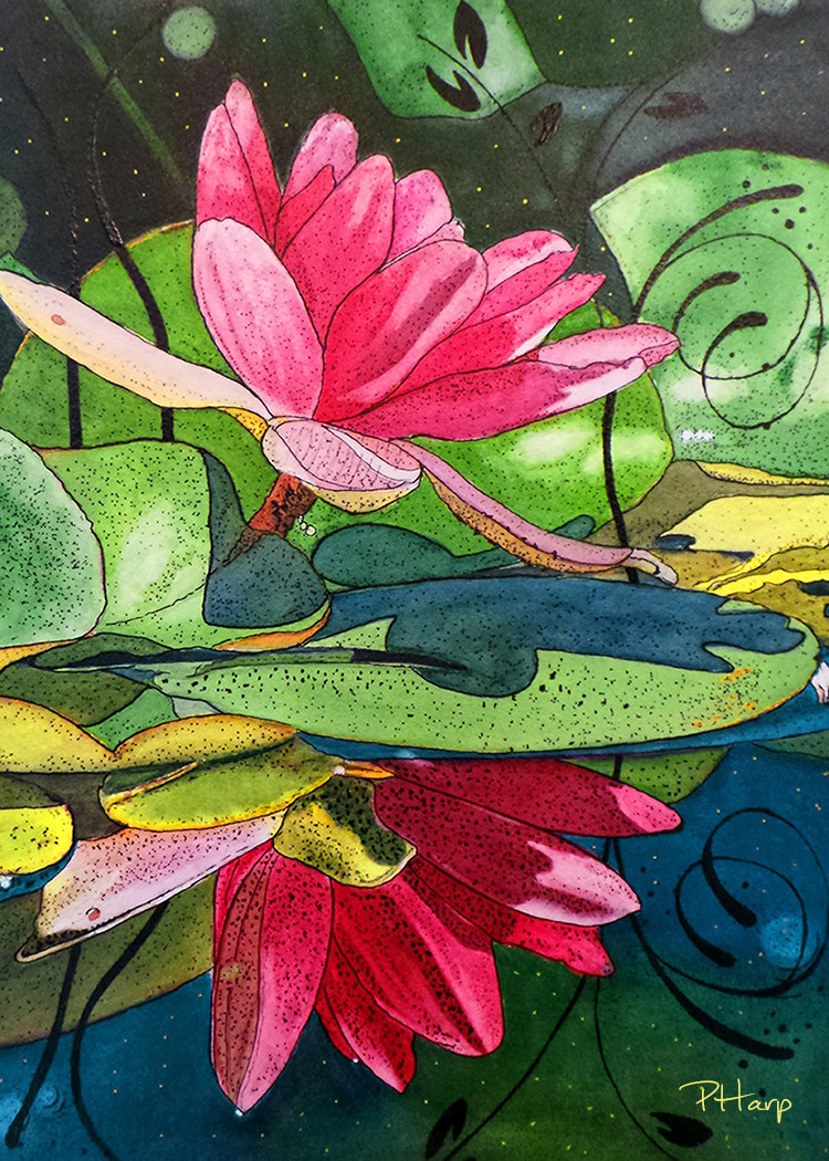 ACEO ORIGINAL PRINT – Water Lily Floral Watercolor/Ink Botanical Art by PHarp
