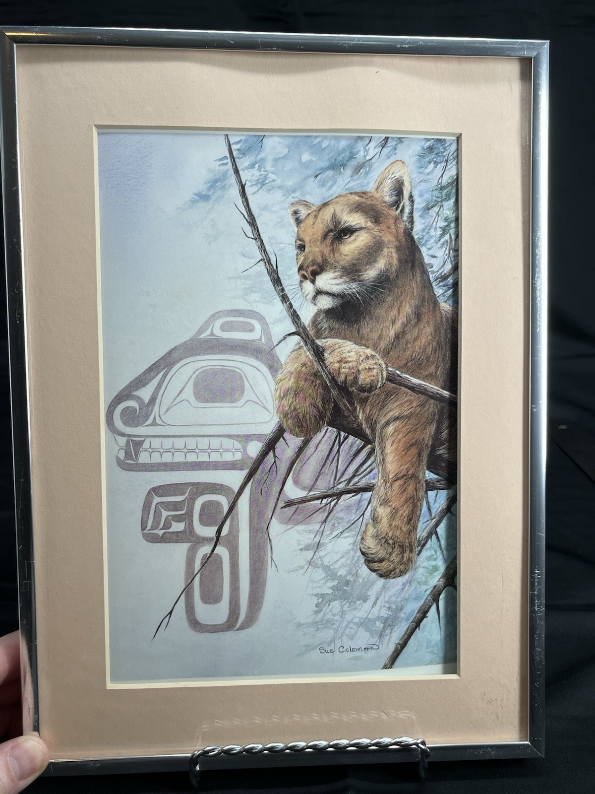 The Cougar, Sue Coleman Print