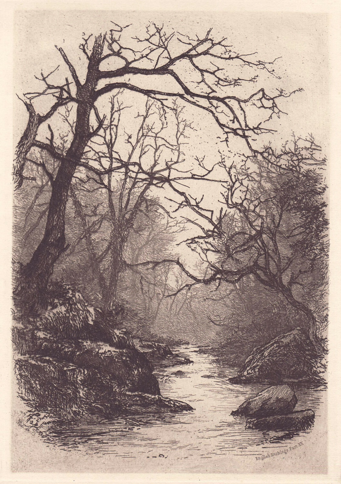 Beautiful Etching – ‘A WOODLAND SCENE’ – An Unsigned Print – 9-1/4″ x 6-1/2″
