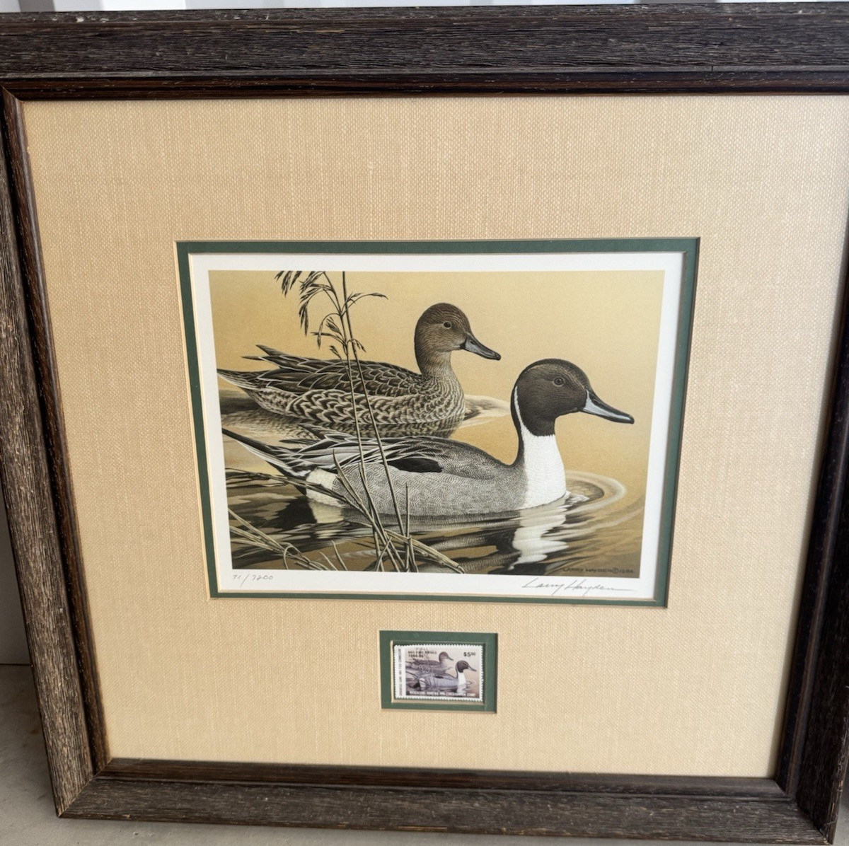 Framed Duck Art Print with Duck Stamp, Nature Animals, Matted & Framed