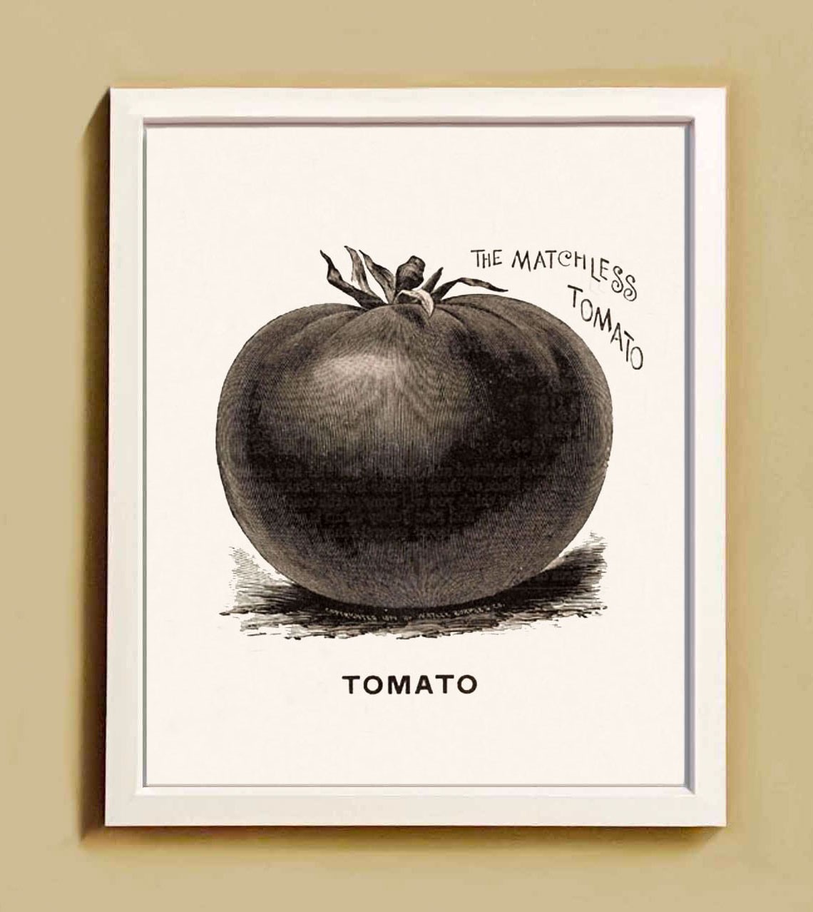 Set of seven vegetable giclee prints vintage Burpee Tex Mex favorites