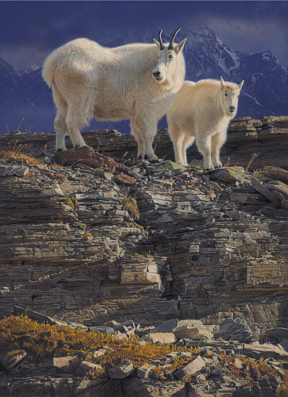 DANIEL SMITH Maternal Bond Canvas S/N art Mountain Goats Award Winning Artist
