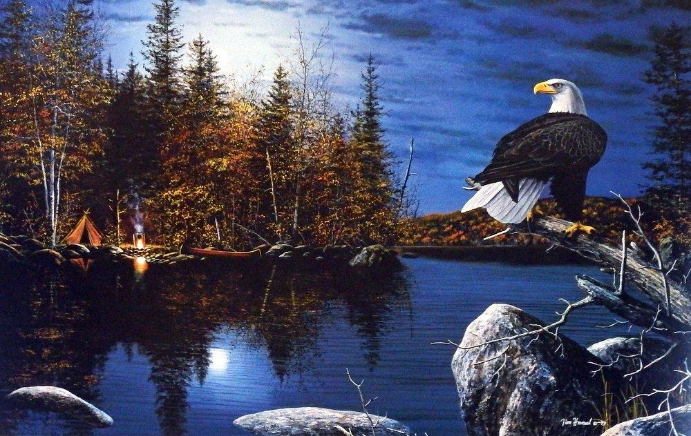 Jim Hansel “Reflections” Eagle Print Image Size 21.5″ x 13.5″