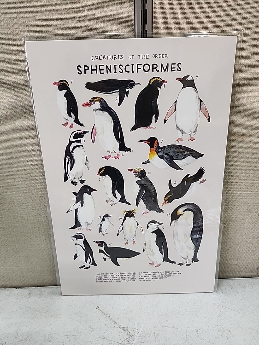 NEW Kelzuki Creatures of the order set of 19 art prints 12 x 18 inches