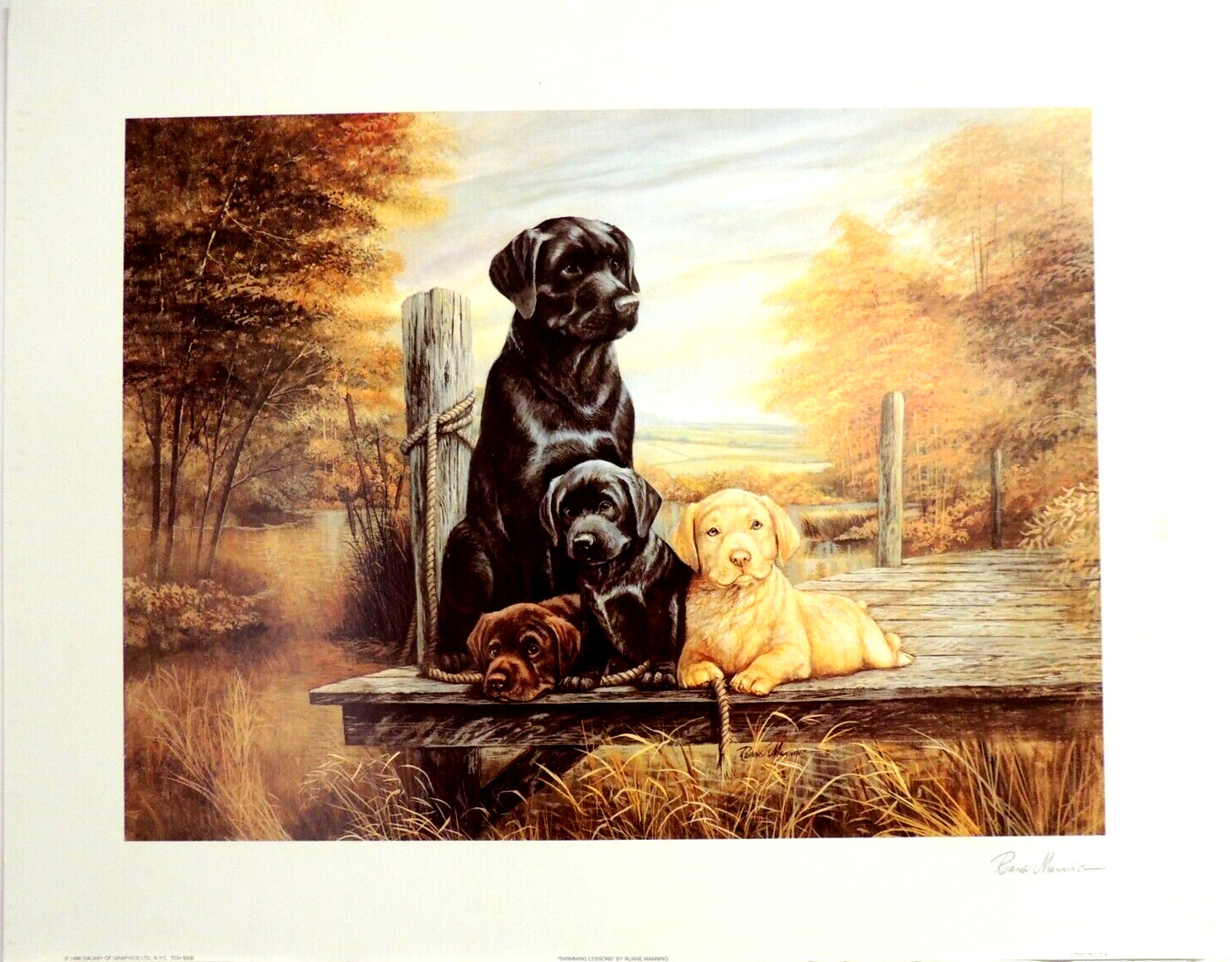 LAB DOG PICTURE BLACK CHOCOLATE GOLDEN LAB PUPPY RUANE MANNING PRINT ONLY 16X20