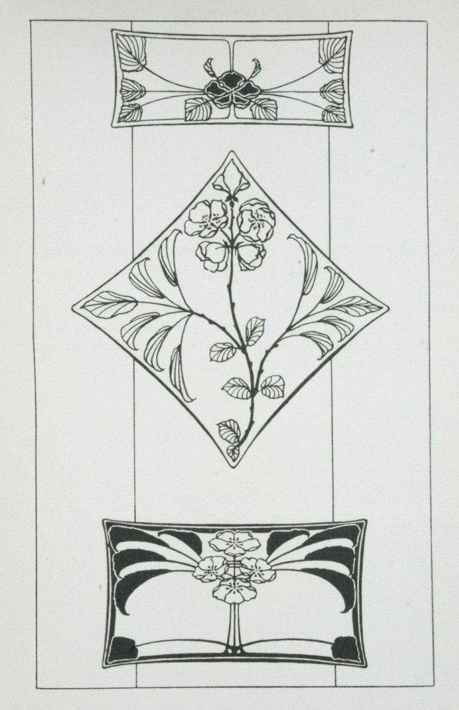 CRAB APPLE ART NOUVEAU Print Wadsworth Floral Nature Ornament SHAPES C1910
