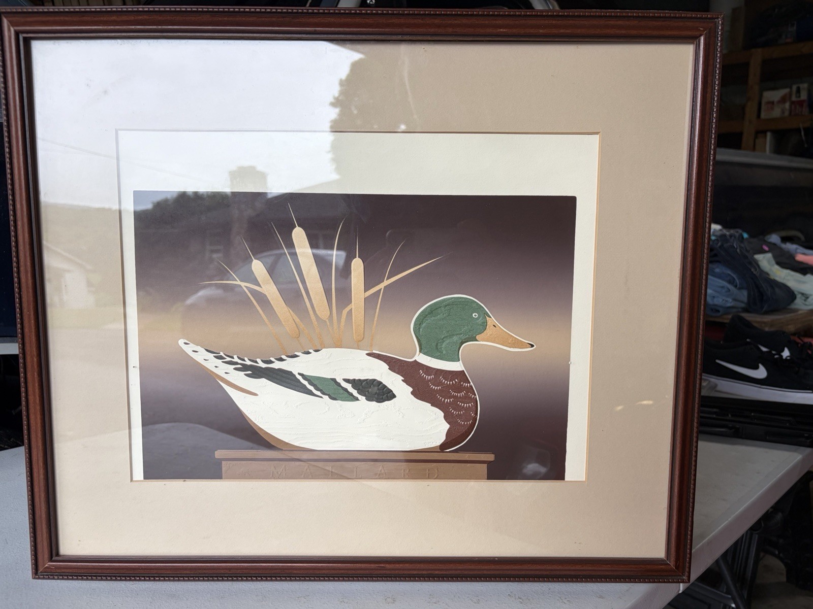 Matted & Framed Duck Bird Nature Print, Landscape Orientation, Single Piece