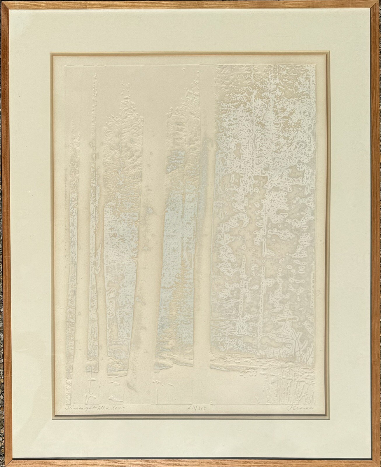 Paula Crane Silk Screen “Sunlight/Shadow” 211/300 Circa 1975