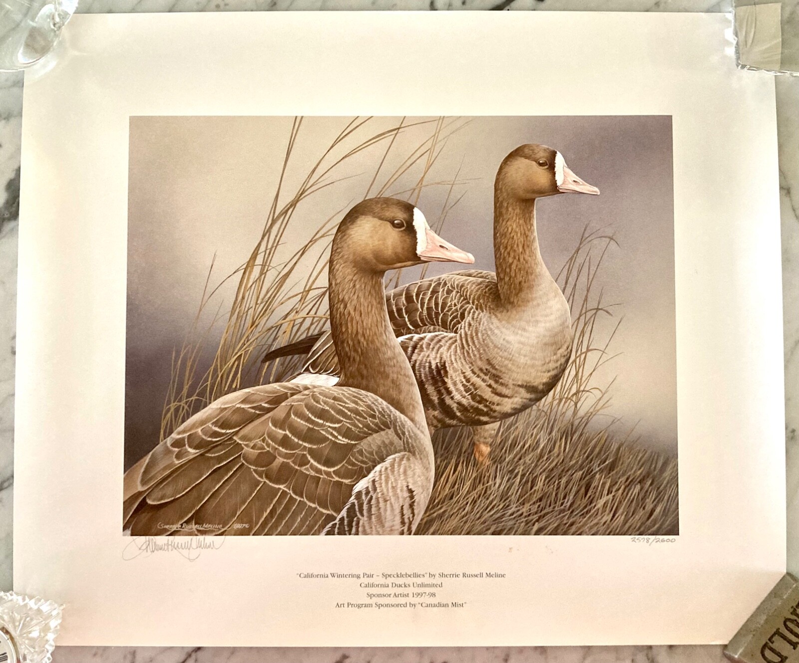 SHERRIE RUSSELL MELINE – “SPECKLEBELLIES” CALIFORNIA WINTERING PAIR 1997