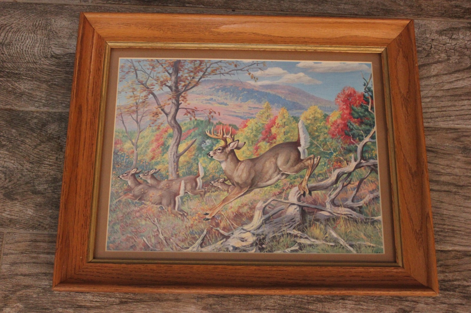 Vtg Running Deer Print. Great Colors. Solid Wood Frame Under Glass. 13.5 x 16.5″