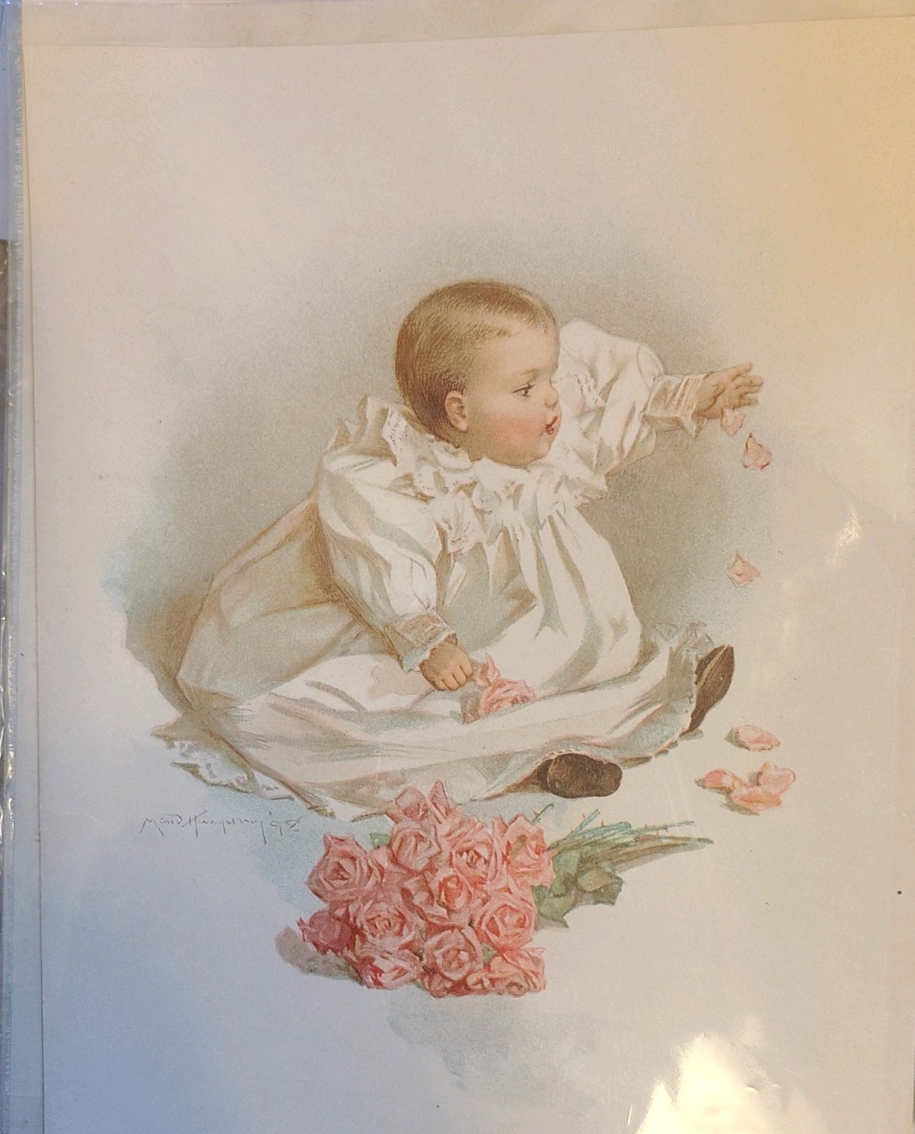 Maud Humphrey 1898 Signed Baby & Roses Portrait Print, Unframed Paper, USA